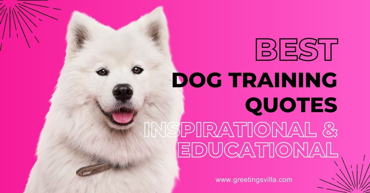 Best Dog Training Quotes: Inspirational & Educational