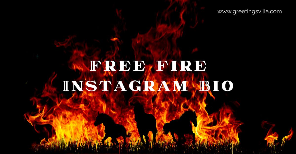 Best Free Fire Instagram Bio [New Ideas]