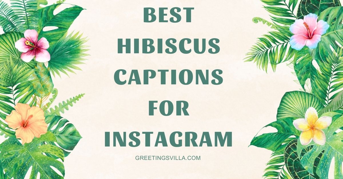 Best Hibiscus Captions For Instagram