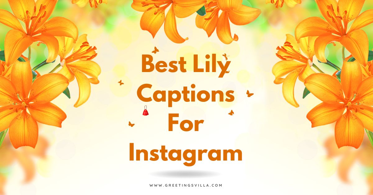 Best Lily Captions For Instagram