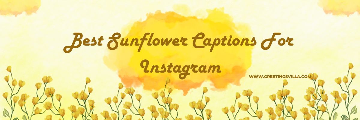 Best Sunflower Captions For Instagram
