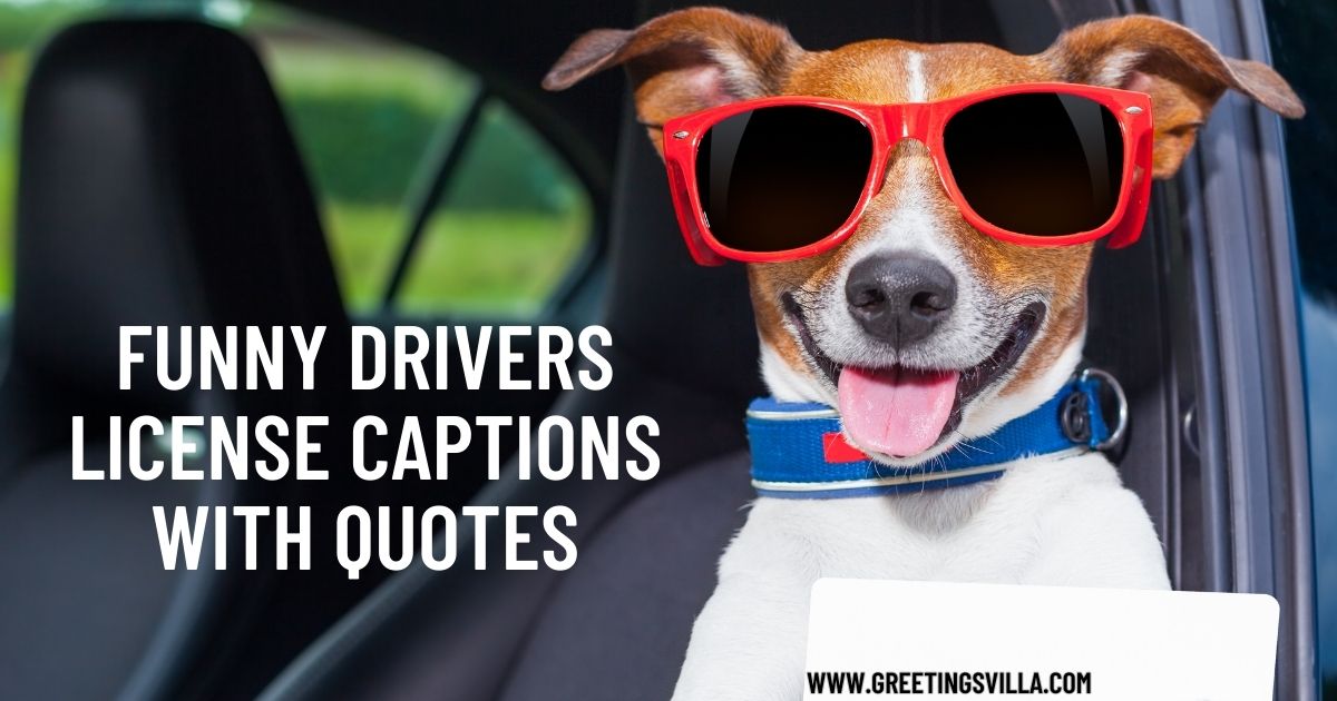 Funny Drivers License Captions with Quotes