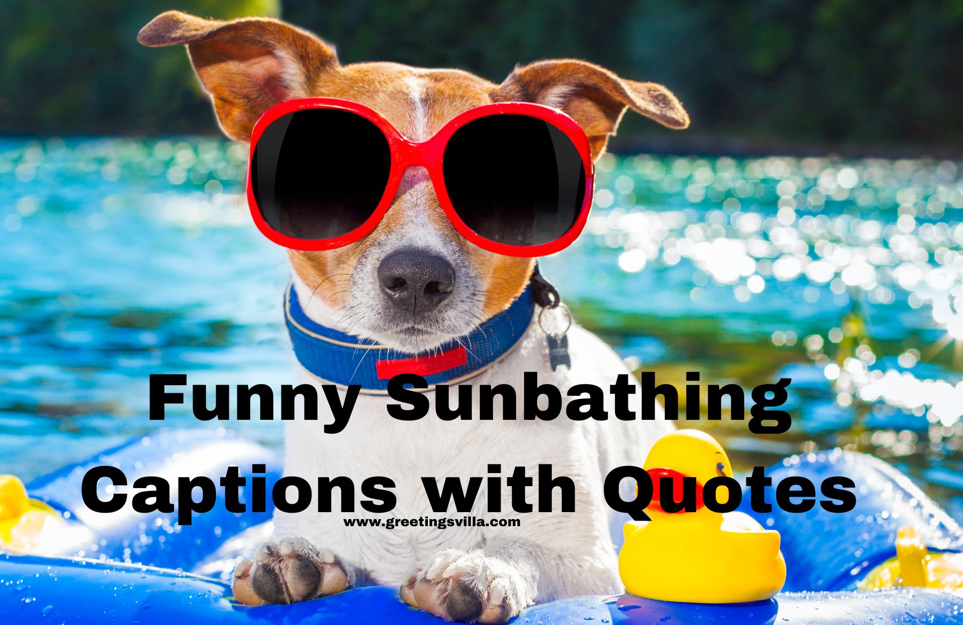 Funny Sunbathing Captions with Quotes